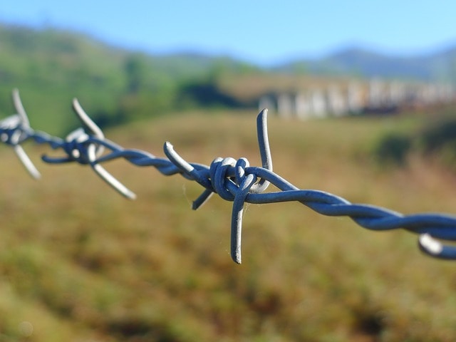 barbed-wire-114500_640